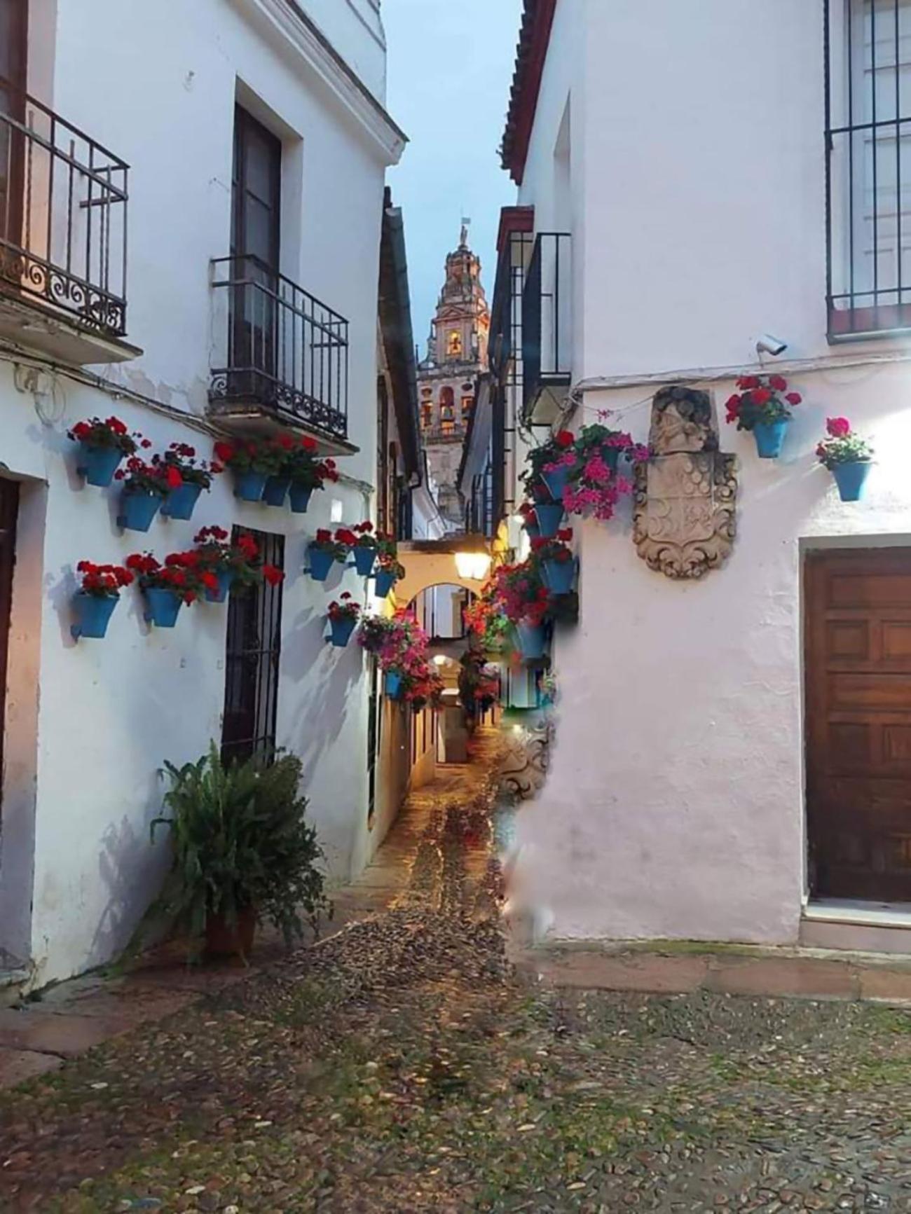 Nieves Viejas Los Patios Córdoba Exterior foto